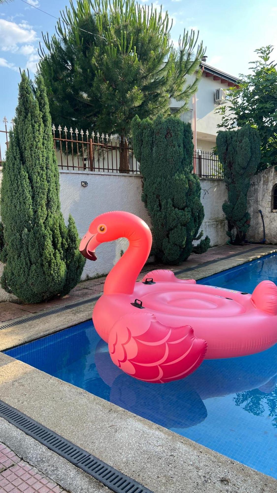 Cozy Little Holiday House Shkoder Ngoại thất bức ảnh